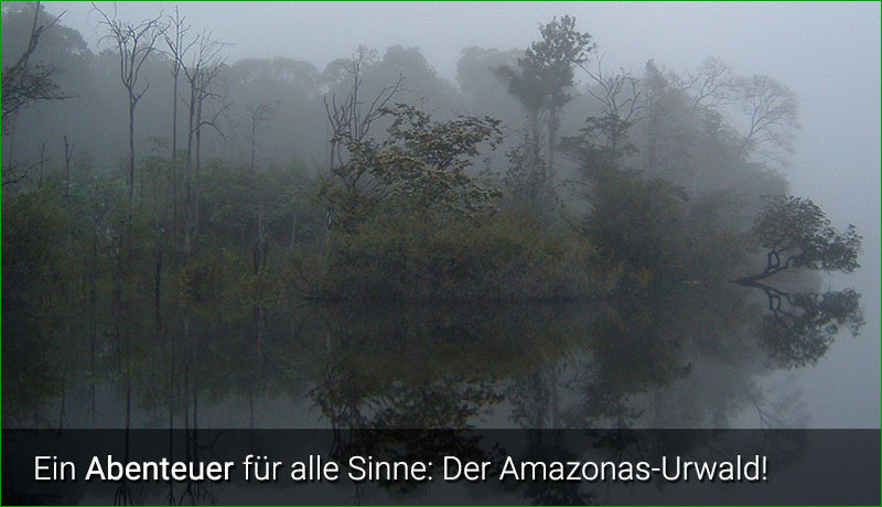 Amazonas-Tour, ein Abenteuer für die Sinne!